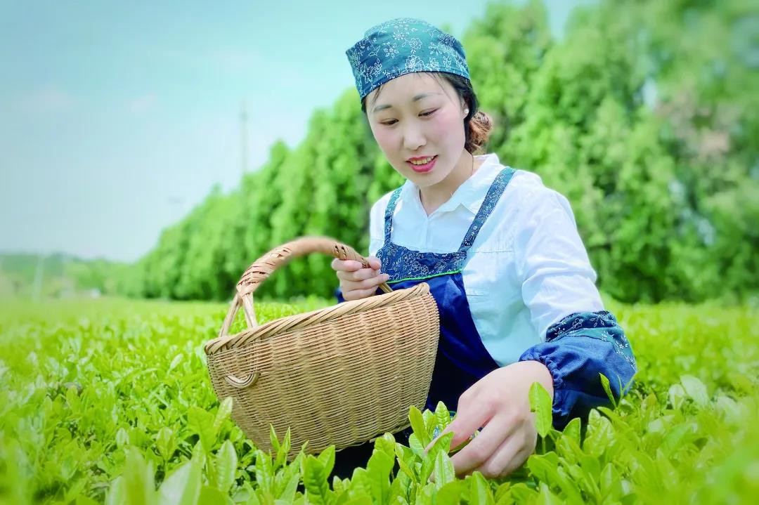 1633770375546861.jpg 微信图片_20211009165840.jpg